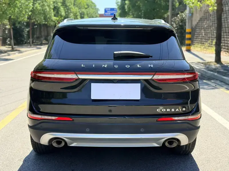 2021 Lincoln Adventurer NEV с пробегом 105 000 км