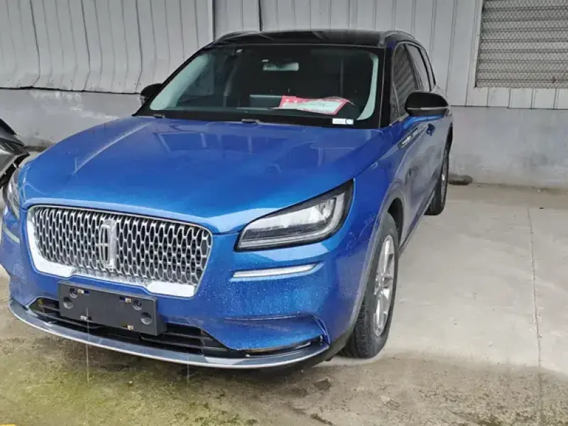2020 Lincoln Adventurer NEV с пробегом 60 000 км