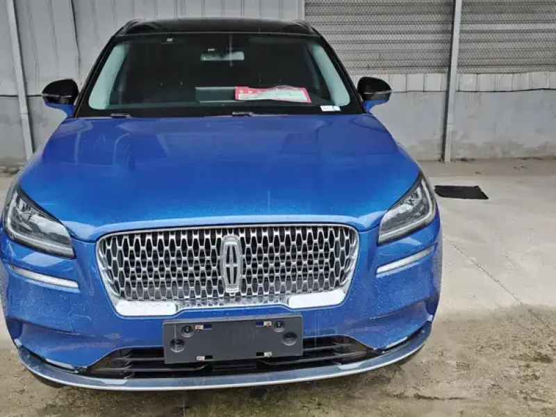 2020 Lincoln Adventurer NEV с пробегом 60 000 км