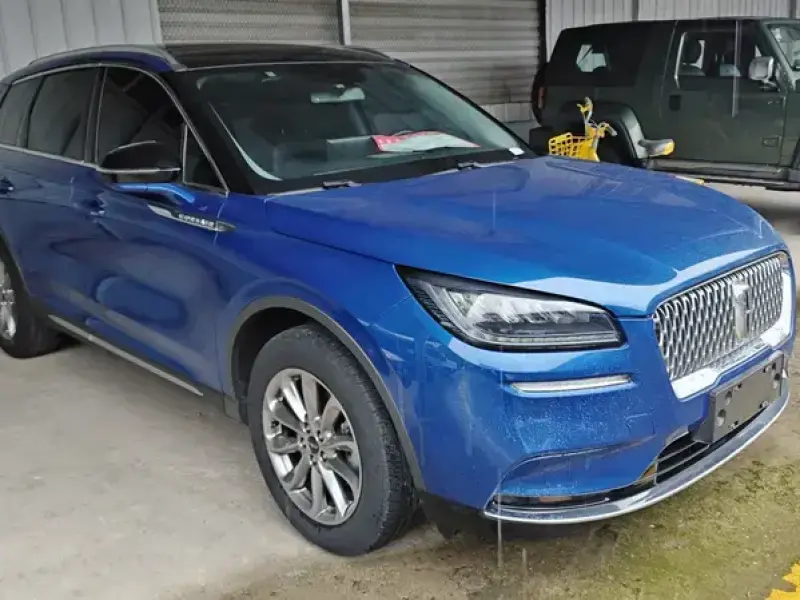 2020 Lincoln Adventurer NEV с пробегом 60 000 км