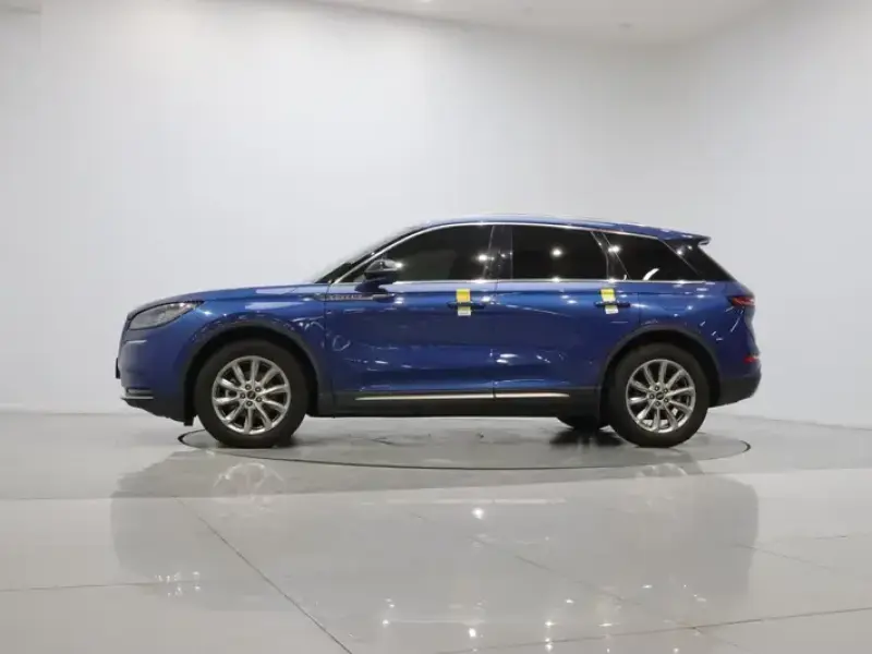 2020 Lincoln Adventurer NEV с пробегом 77 400 км