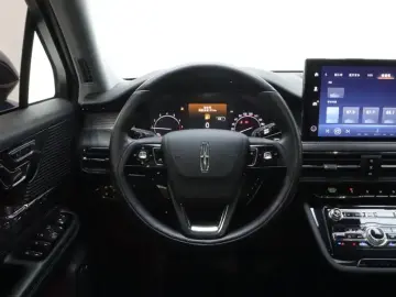 2020 Lincoln Adventurer NEV с пробегом 77 400 км