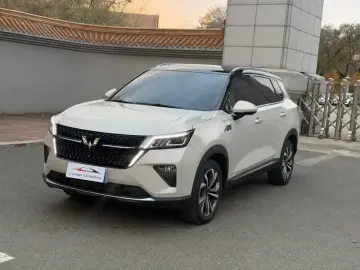 Wuling Wuling Xingchen