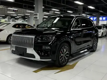 Zeekr 8X