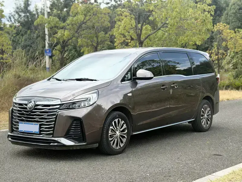 2023 Buick GL8 с пробегом 70 000 км