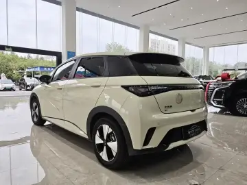 2023 BYD Dolphin с пробегом 14 800 км