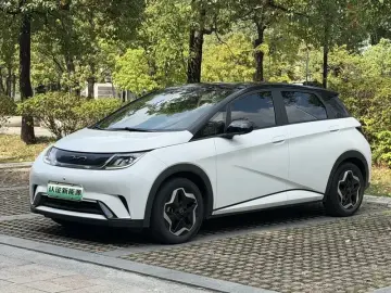 2021 BYD Dolphin с пробегом 68 000 км