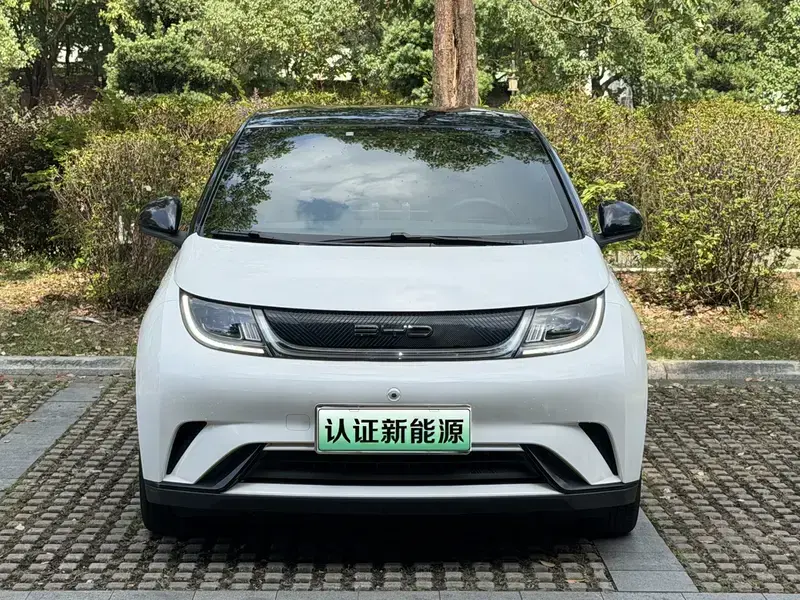 2021 BYD Dolphin с пробегом 68 000 км