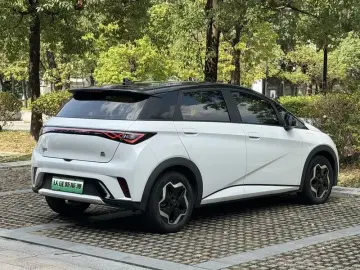 2021 BYD Dolphin с пробегом 68 000 км