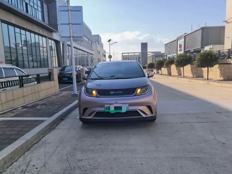 2021 BYD Dolphin с пробегом 25 000 км