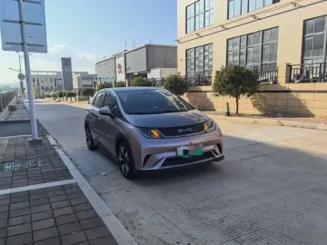 2021 BYD Dolphin с пробегом 25 000 км
