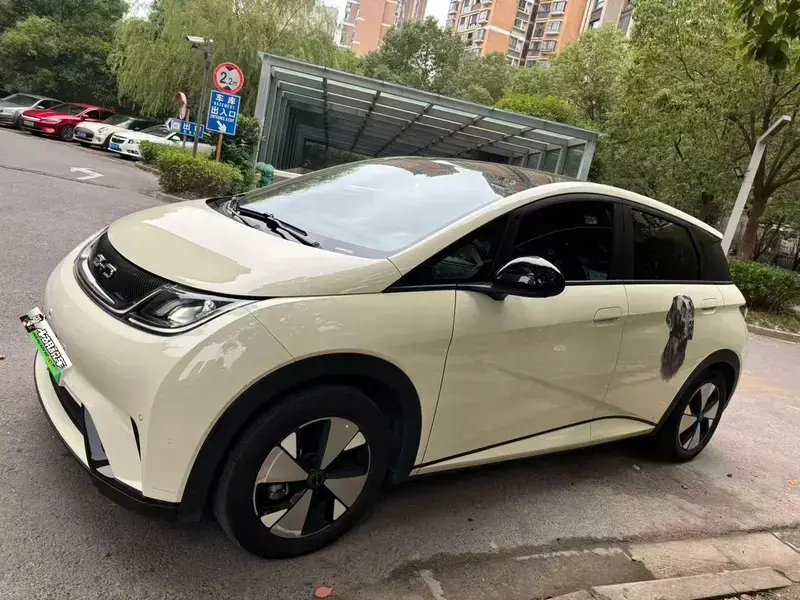 2023 BYD Dolphin с пробегом 41 600 км