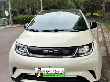 2023 BYD Dolphin с пробегом 41 600 км