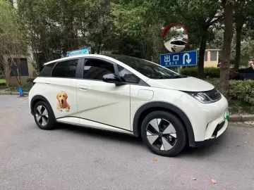 2023 BYD Dolphin с пробегом 41 600 км