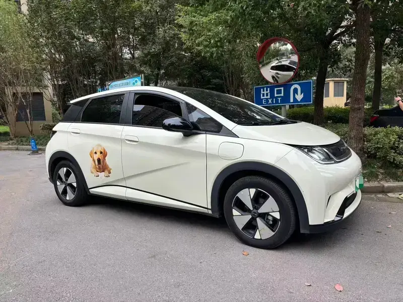 2023 BYD Dolphin с пробегом 41 600 км