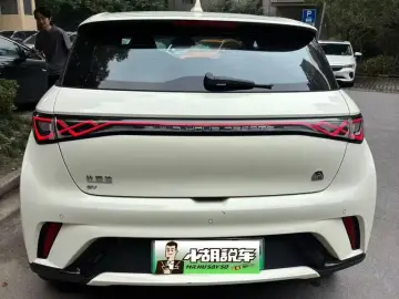 2023 BYD Dolphin с пробегом 41 600 км
