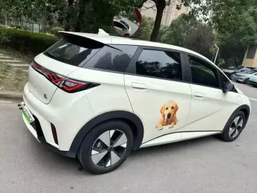 2023 BYD Dolphin с пробегом 41 600 км