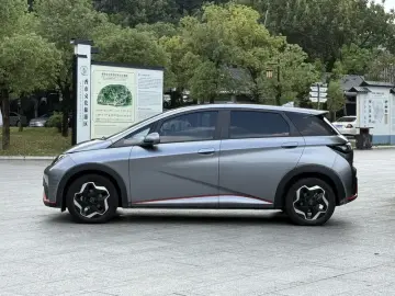2021 BYD Dolphin с пробегом 117 000 км