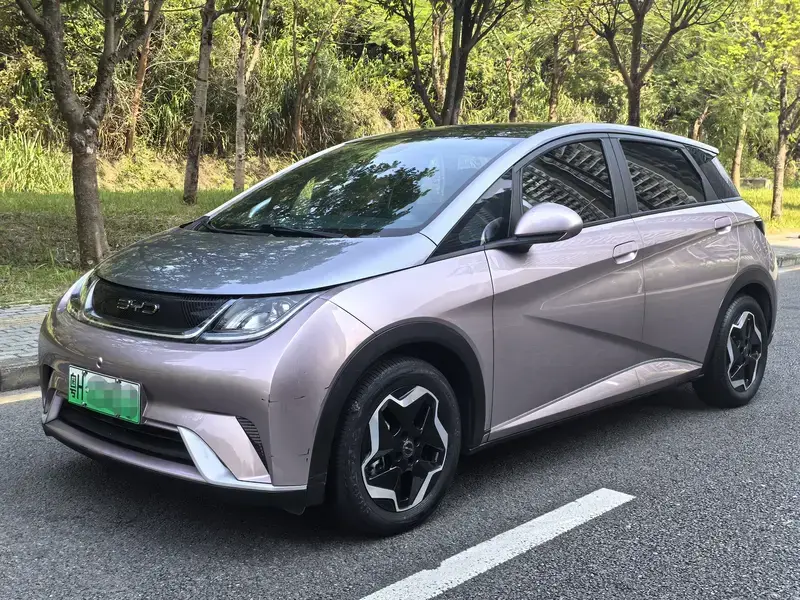2021 BYD Dolphin с пробегом 76 000 км