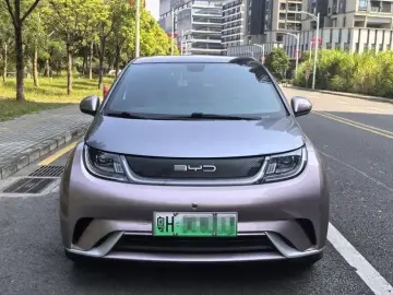 2021 BYD Dolphin с пробегом 76 000 км