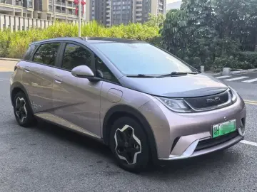2021 BYD Dolphin с пробегом 76 000 км