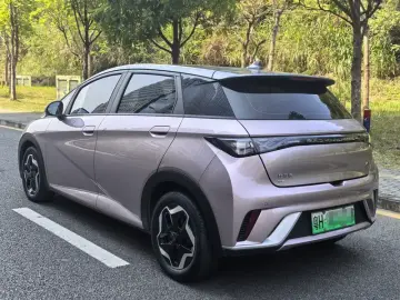 2021 BYD Dolphin с пробегом 76 000 км