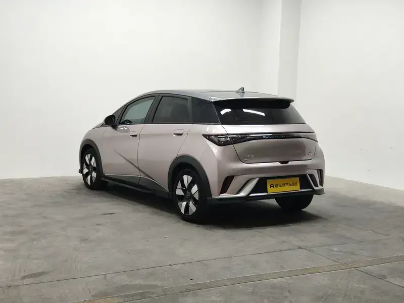 2021 BYD Dolphin с пробегом 40 200 км