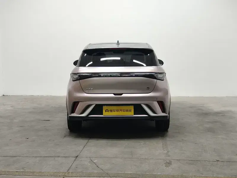2021 BYD Dolphin с пробегом 40 200 км