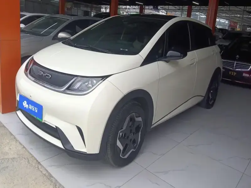 2021 BYD Dolphin с пробегом 55 000 км