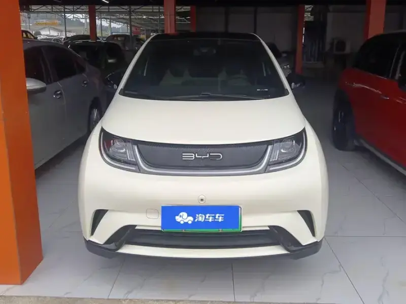 2021 BYD Dolphin с пробегом 55 000 км