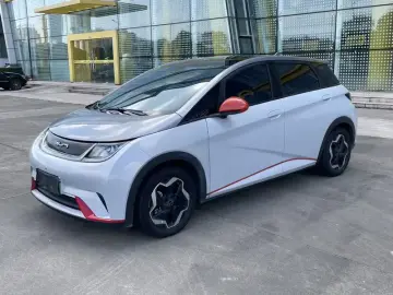 2021 BYD Dolphin с пробегом 163 000 км