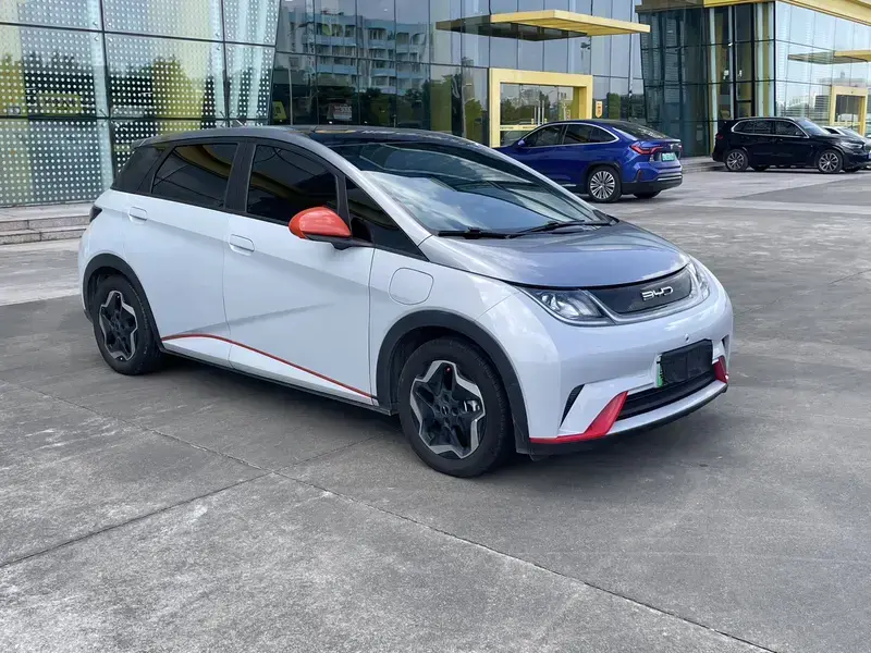 2021 BYD Dolphin с пробегом 163 000 км