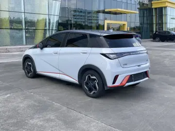 2021 BYD Dolphin с пробегом 163 000 км