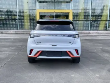 2021 BYD Dolphin с пробегом 163 000 км