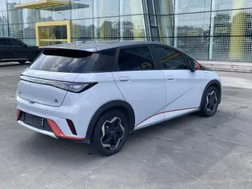 2021 BYD Dolphin с пробегом 163 000 км