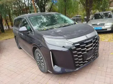2025 BYD Xia (M9) с пробегом 7 000 км
