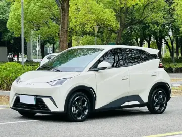2024 BYD Seagull с пробегом 29 000 км