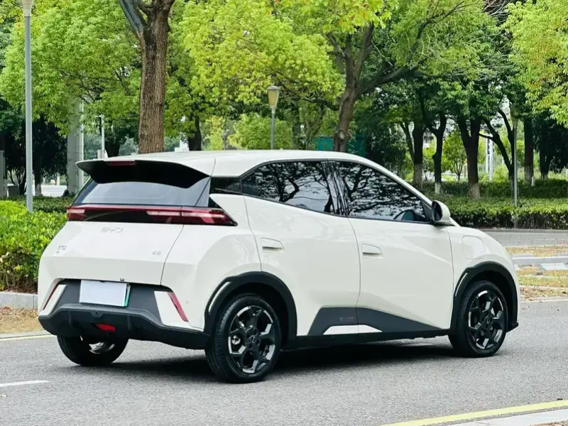2024 BYD Seagull с пробегом 29 000 км
