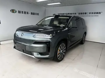 Denza N9