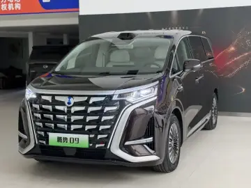 Denza D9