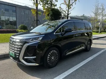 Denza D9