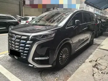 Denza D9
