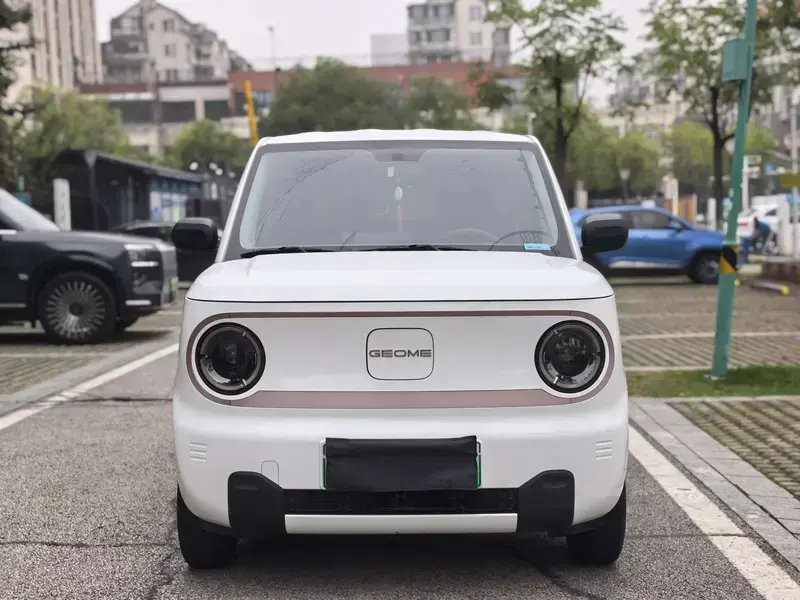 2024 Geely Panda с пробегом 23 000 км