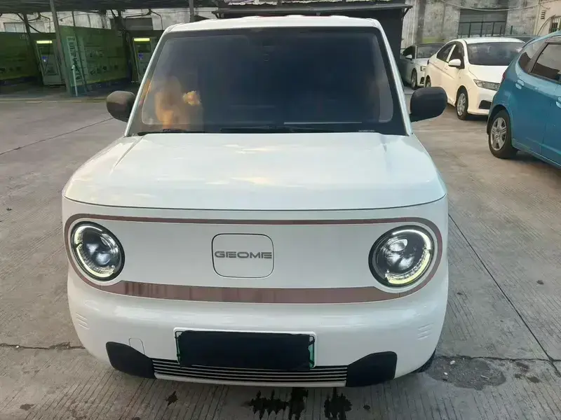 2023 Geely Panda с пробегом 5 000 км