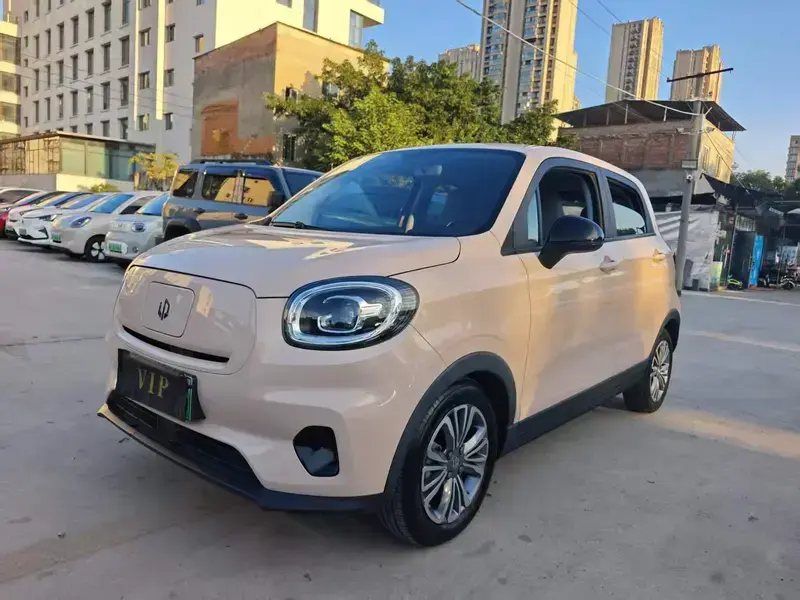 2021 Leapmotor T03 с пробегом 75 000 км