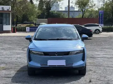 2018 Ora iQ с пробегом 114 000 км