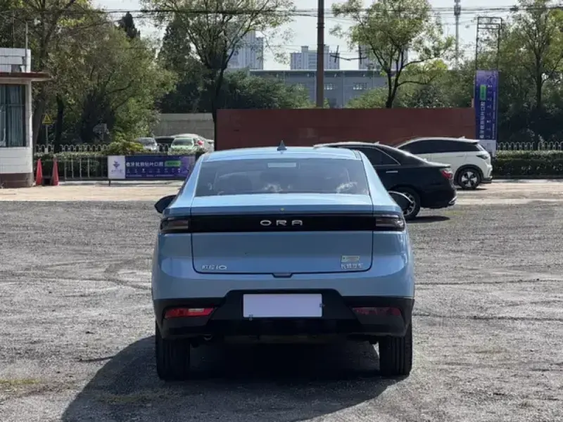 2018 Ora iQ с пробегом 114 000 км