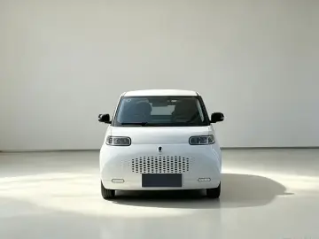 2020 Ora White Cat с пробегом 88 000 км