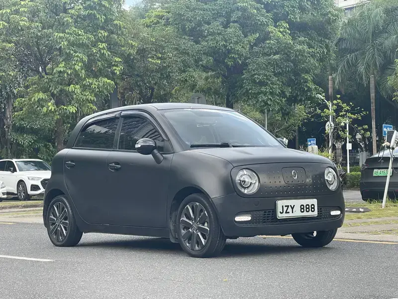 2019 Ora Black Cat с пробегом 98 000 км