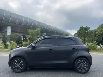 2019 Ora Black Cat с пробегом 98 000 км